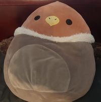 Rob Feral's profile image
