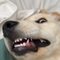 Hailee T.'s profile image