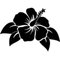 Kristie D.'s profile image