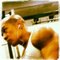 Junior N.'s profile image