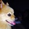 Kimberly L.'s profile image