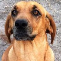 Manuel Garcia's profile image