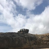 Jim Bissell's profile image