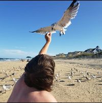 Matt Jenkins's profile image