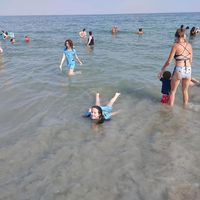 Heather Kelly's profile image