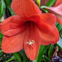 Deb Jacobs's profile image
