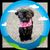 Sandy Sandy's profile image