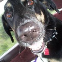 Kaissa Moon's profile image