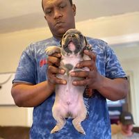 Oliver Godwin's profile image