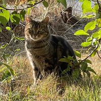 Terri Jarve's profile image
