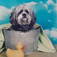 Kathie Fanning's profile image