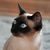 RonandEllen G.'s profile image