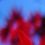 Lighthouse B.'s profile image