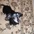 Stephanie Spencer's profile image