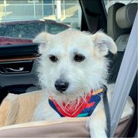 Diane Samdahl's profile image