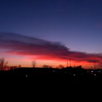 Marianna M Fuchs's profile image