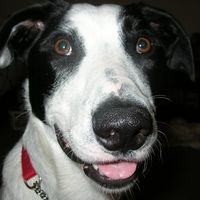 Diane Evensen's profile image