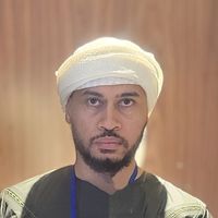 Ahmed Elshaer's profile image