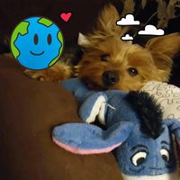 Daphne Lee's profile image