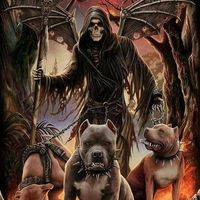 Joe Raymond's profile image
