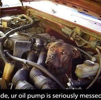Randy Pollock's profile image