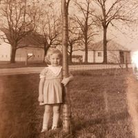 Sue A McCurdy's profile image