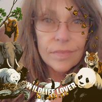 Josée Luke's profile image