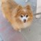 Francie M.'s profile image