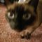 Mike B.'s profile image