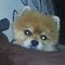 Meg M.'s profile image