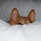 Carol P.'s profile image