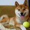 John R.'s profile image