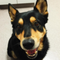 Kevin D.'s profile image