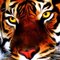 C A.'s profile image