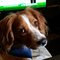 Karen H.'s profile image