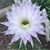 Pamela McDonald's profile image