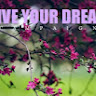 Live Your Dream C.'s profile image