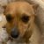 Sabrina Peters's profile image