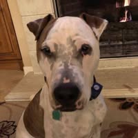 Elaine Garibay Floyd's profile image