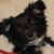 Ron Robillard's profile image