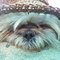 Elizabeth D.'s profile image