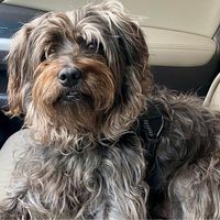 Knox Stump's profile image