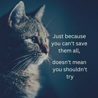 Jeanine Bertram's profile image