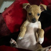 Peggy Leczel's profile image