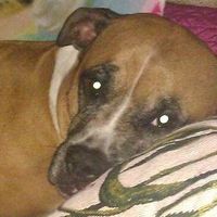 Marianne Christian's profile image