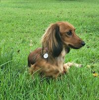 Peggy Partlow Martin's profile image