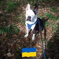 Charles Earley's profile image