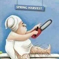 Carol Stephenson's profile image