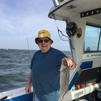 Donald L. Kuhn's profile image