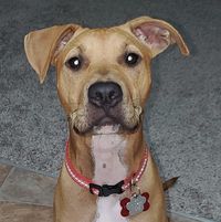 Gina Burken's profile image